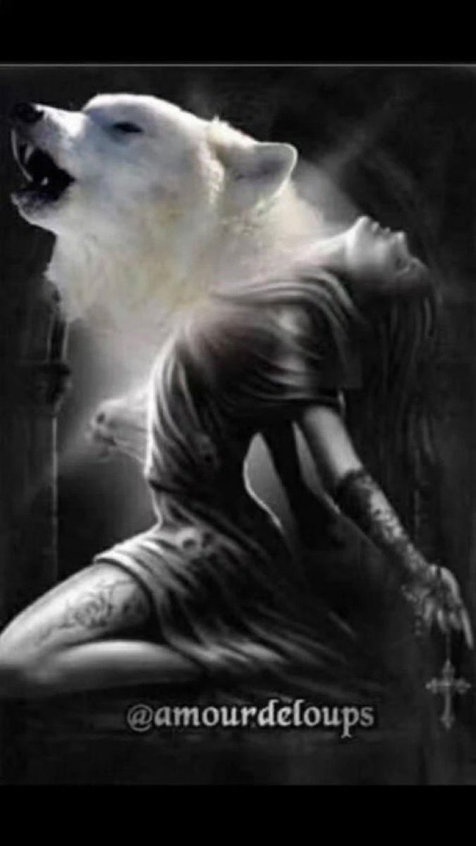 뱀잔디 tweet media