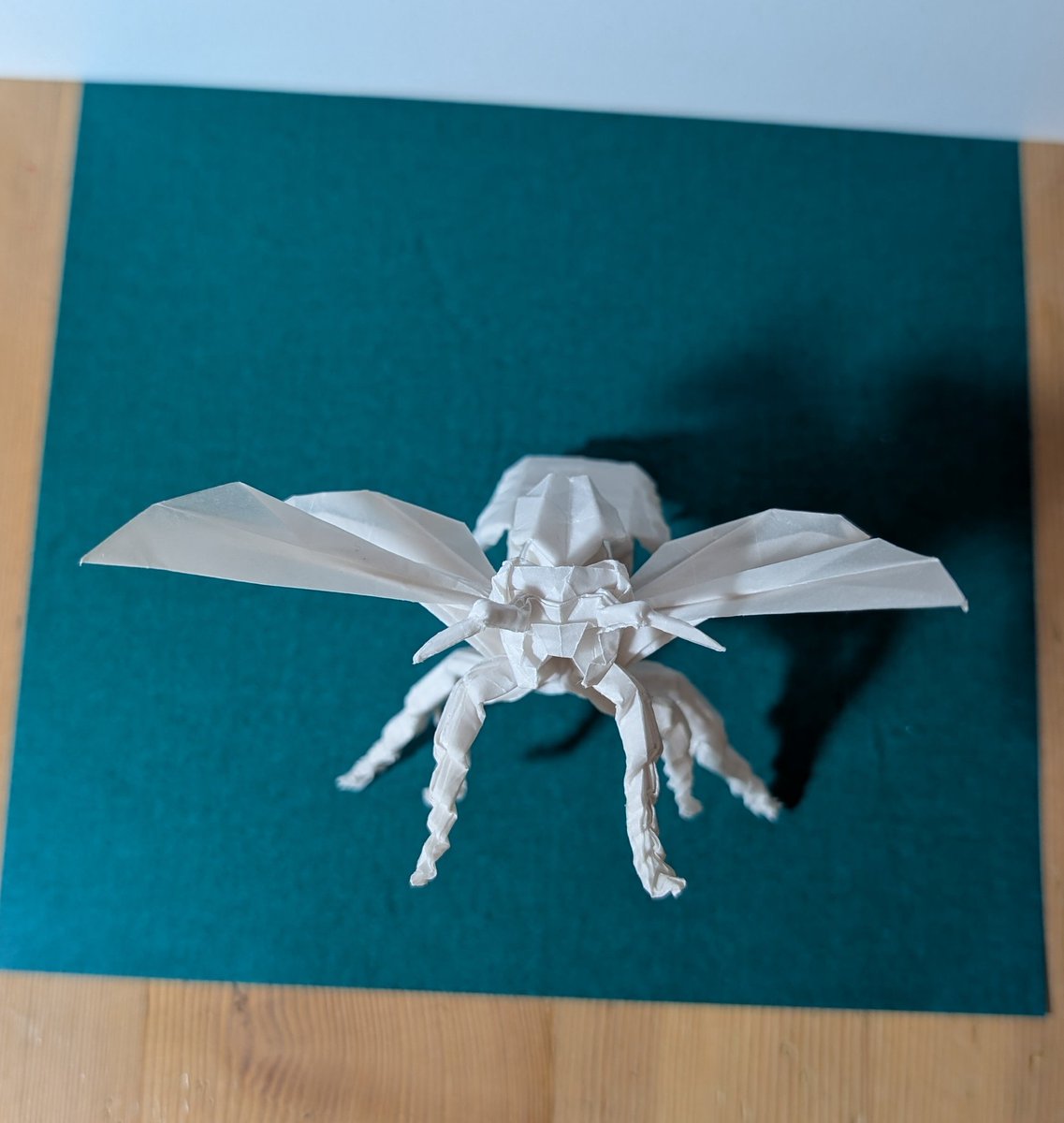 namae1791009's tweet image. 神谷哲史さんのスズメバチ29cmくらいのトレーシングペーパーで折ってみた。脚がんばった
#スズメバチ #折り紙 #Origami