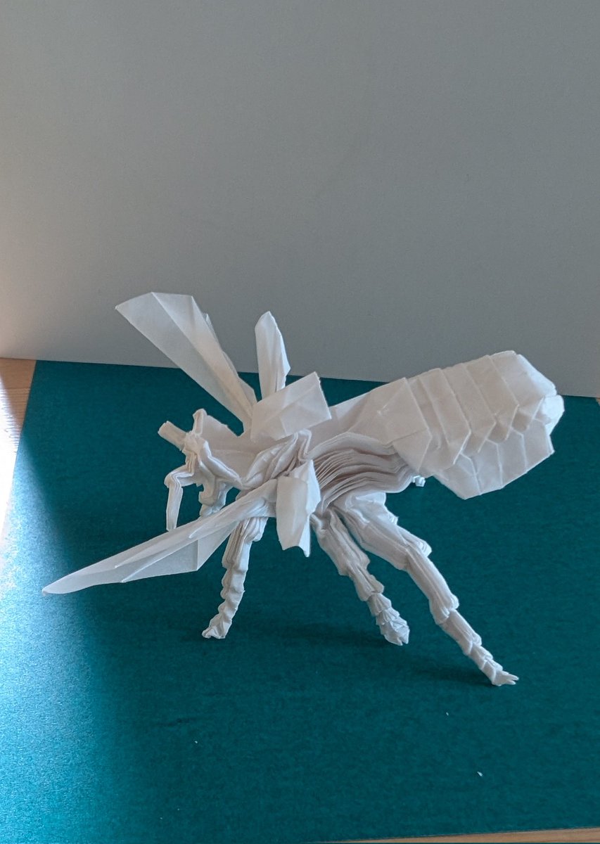 namae1791009's tweet image. 神谷哲史さんのスズメバチ29cmくらいのトレーシングペーパーで折ってみた。脚がんばった
#スズメバチ #折り紙 #Origami