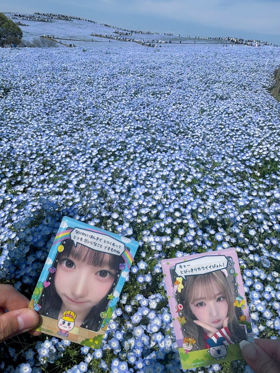 あかし tweet media