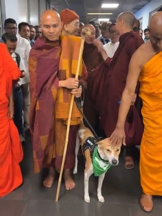 NewsWire 🇱🇰 tweet media