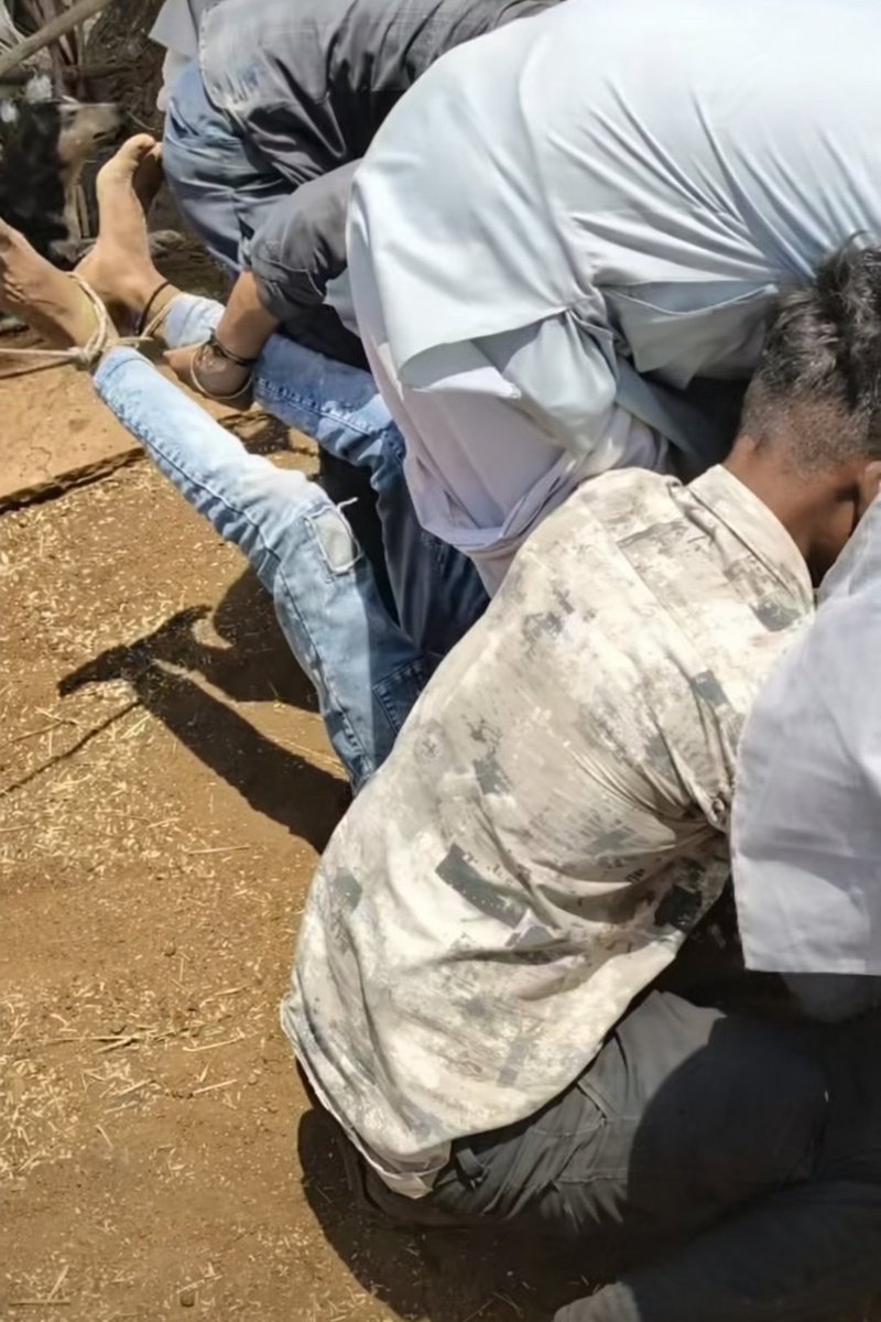 Dev Prakash Meena tweet media