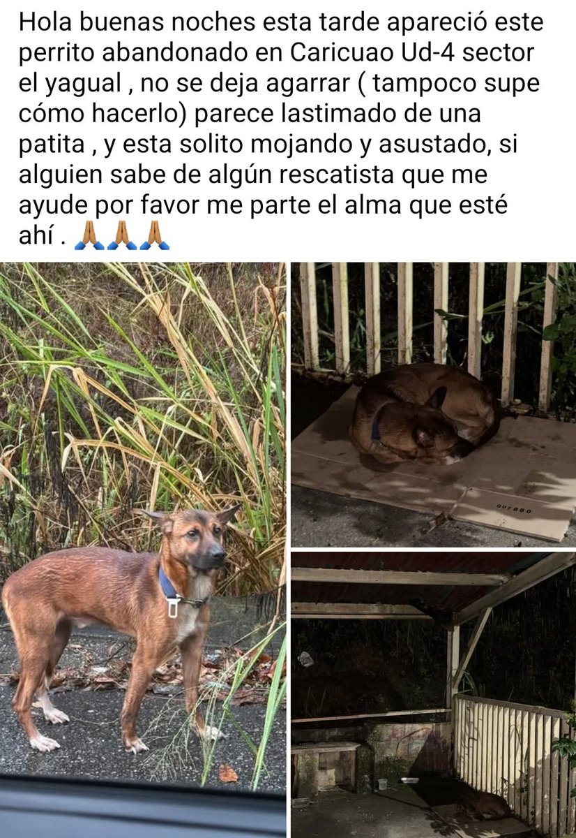 Puede estar EXTRAVIADO. URGE resguardo