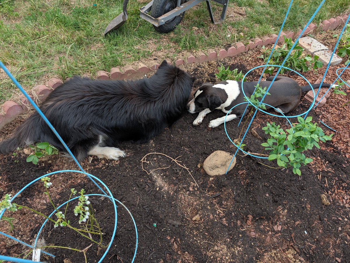 ⌬CatalyticComics⌬ tweet media