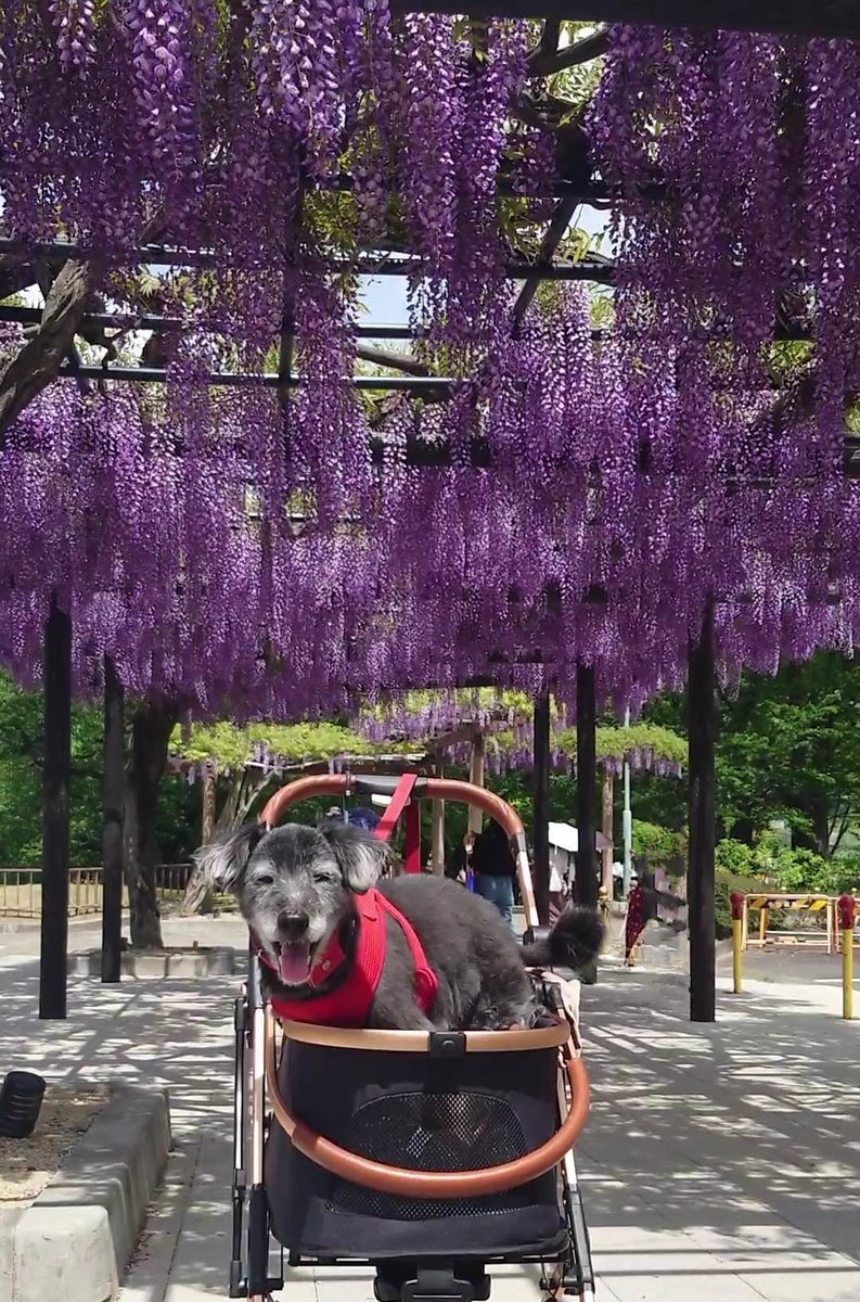 黒丸🌈 tweet media