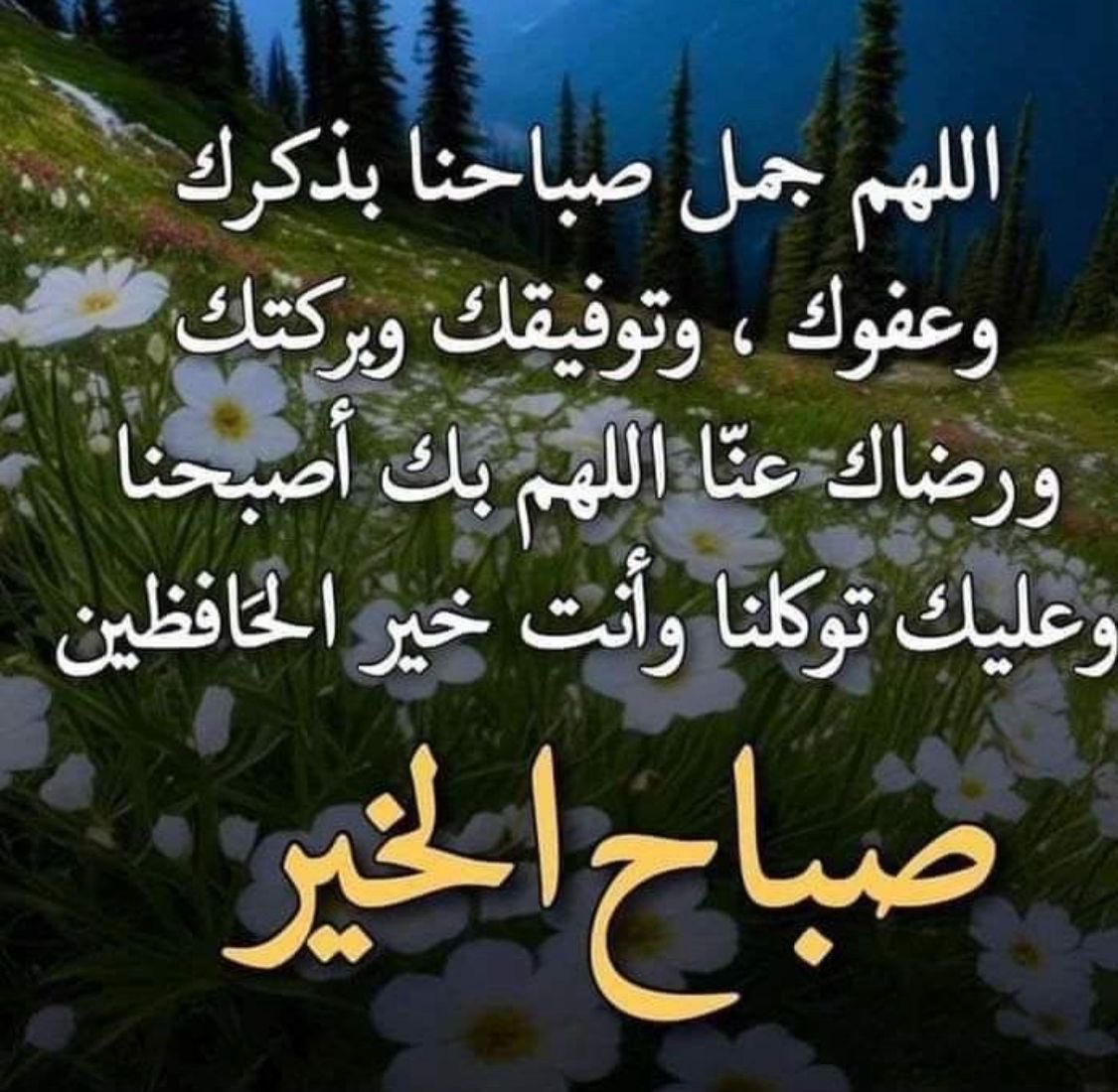 ام عادل tweet media