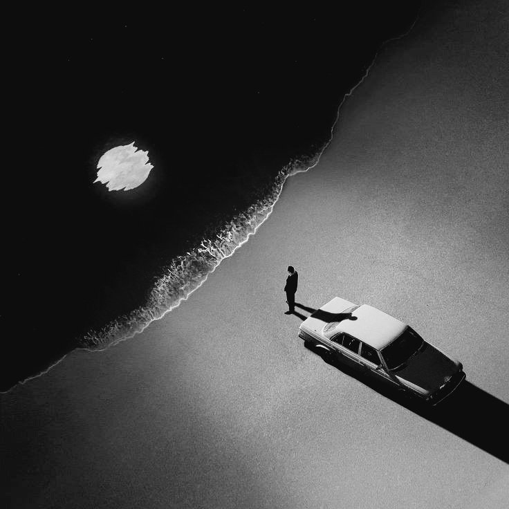 الشاعر 🦅 tweet media