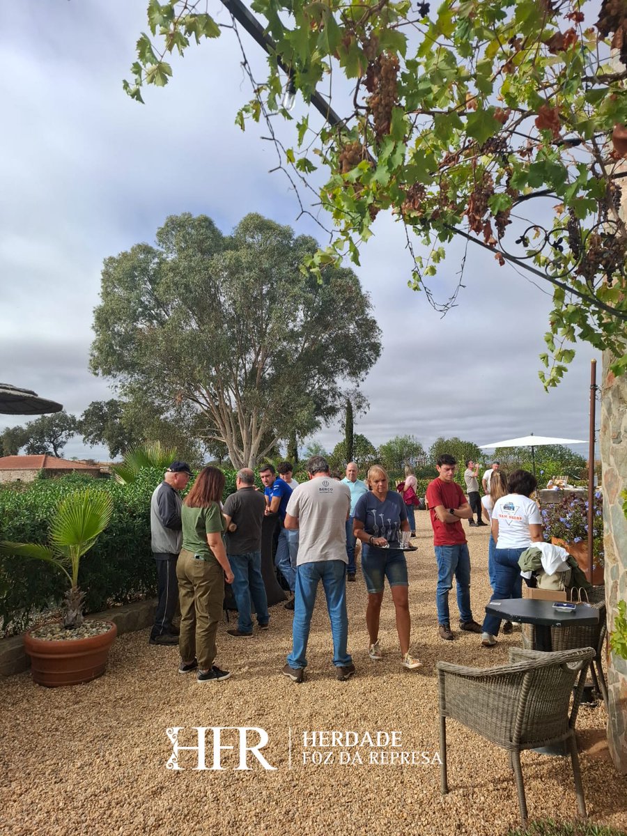 HerdadeFozdaRep's tweet image. Exclusive Experience at our Herdade 

HerdadeFozDaRepresa.com 

#Events #Alentejo