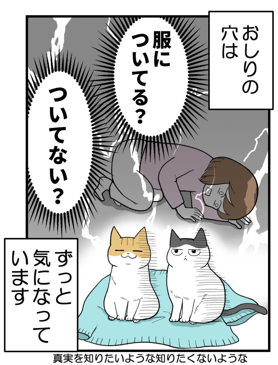 (2/2) 
