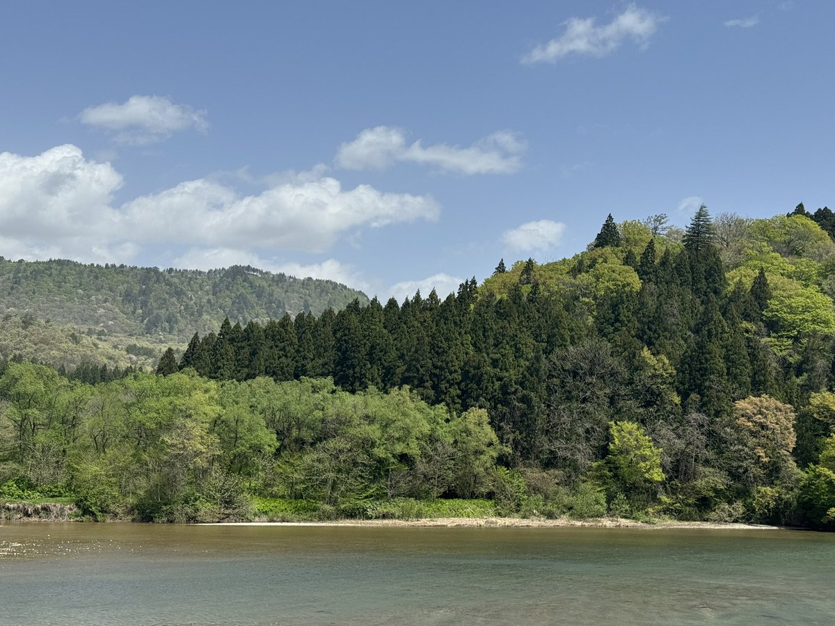 銅鐸舎⚱️ tweet media