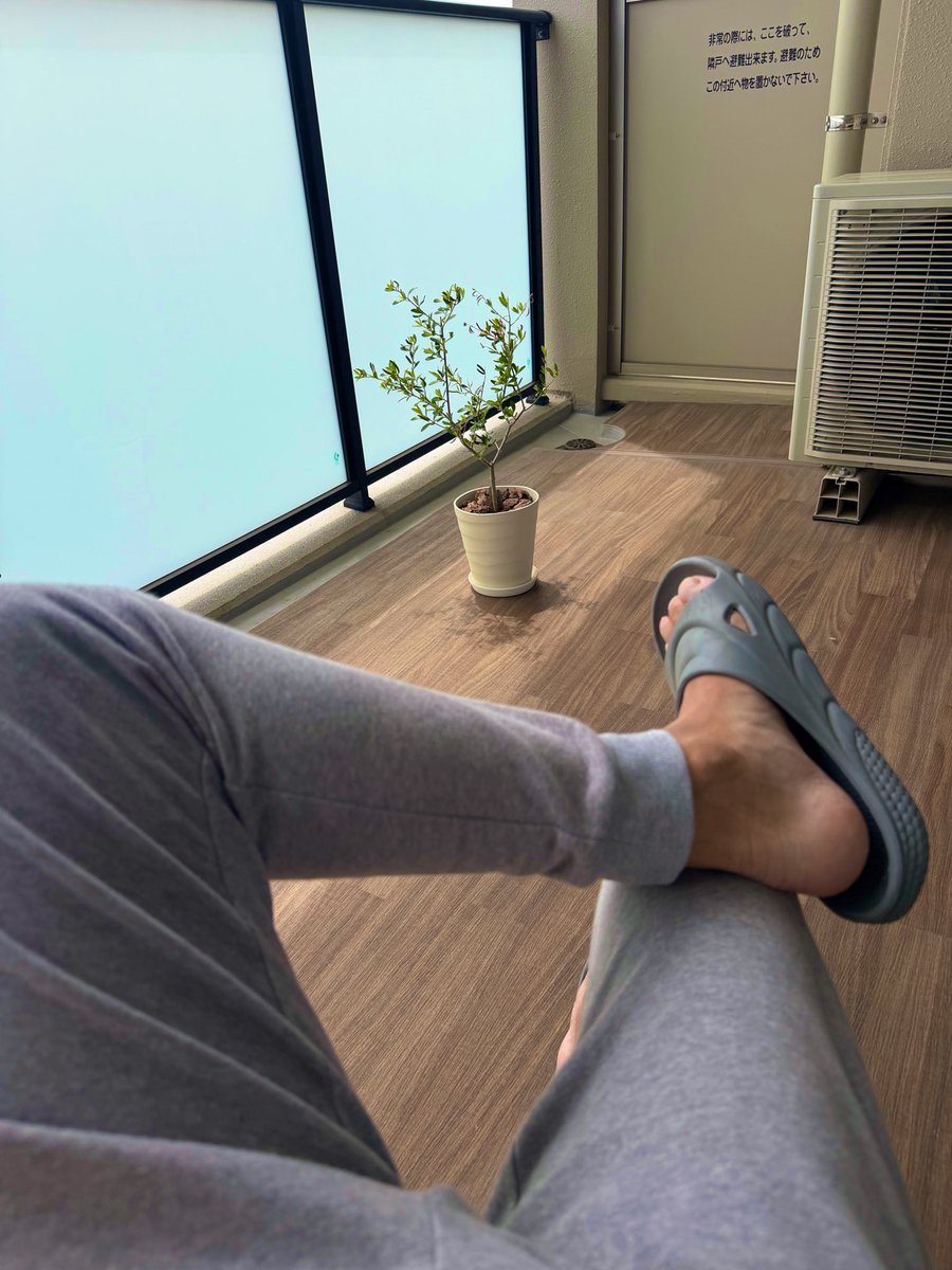 たーぼー tweet media