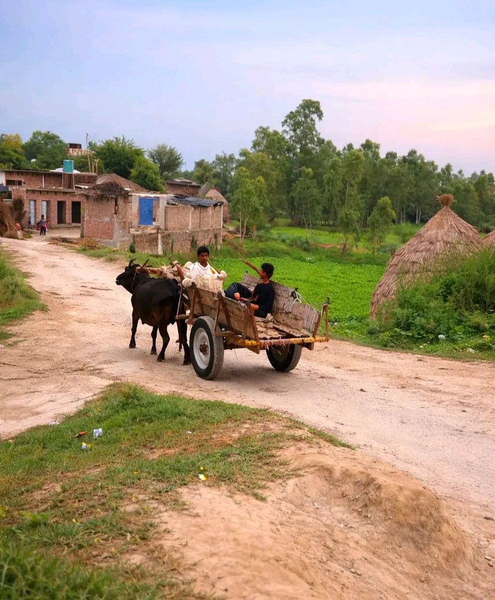 Ravindr29956906's tweet image. “बचपन की वो सवारी… अब सिर्फ तस्वीरों में रह गई है 💔”

#villagelife