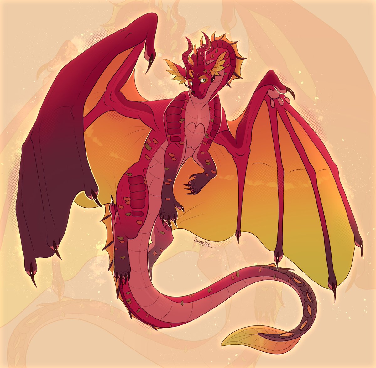 Sunrize 𖤓 tweet media