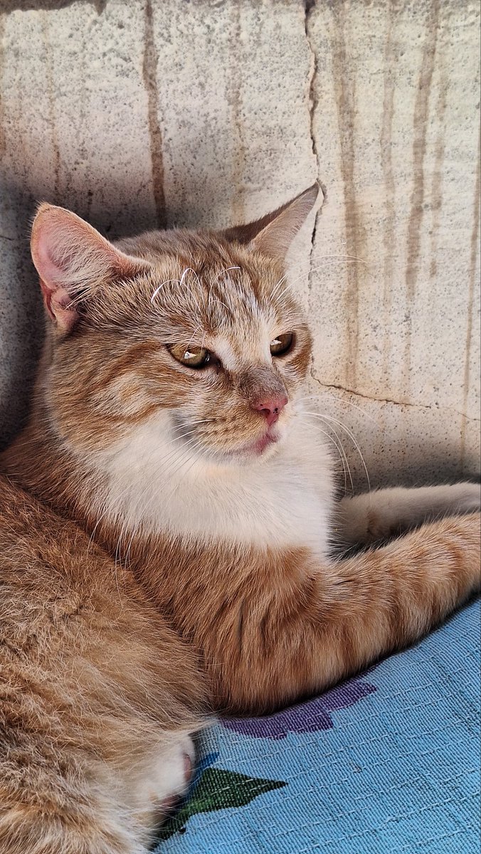 luu៹ au no fix 🎬 tweet media