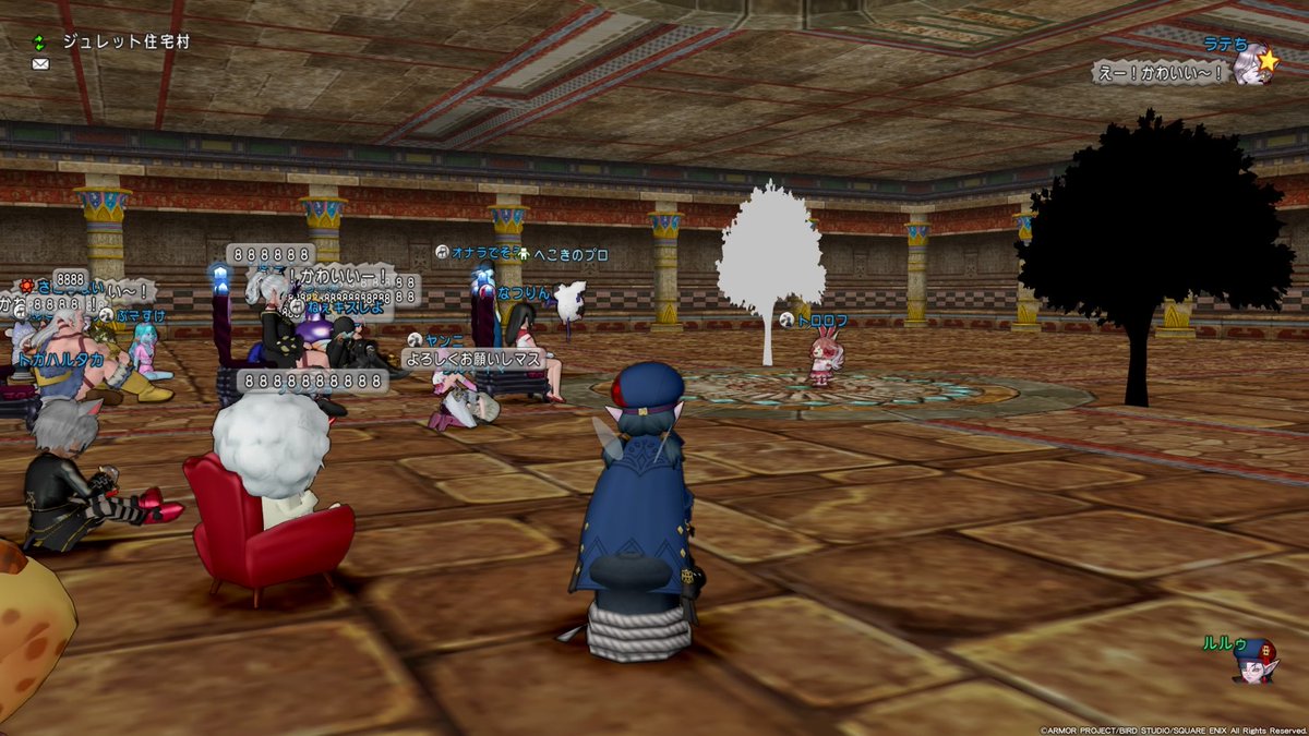 🐼 de ルルゥ tweet media