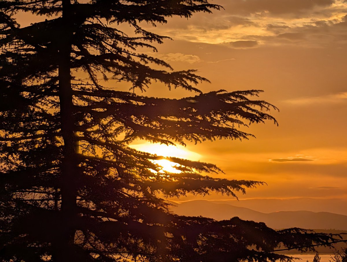 Jodi_Meinjohans's tweet image. Just now...have a good evening kids

#sunsets
#America