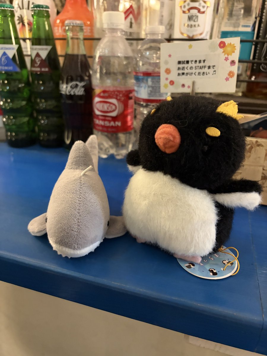 細川景右 tweet media