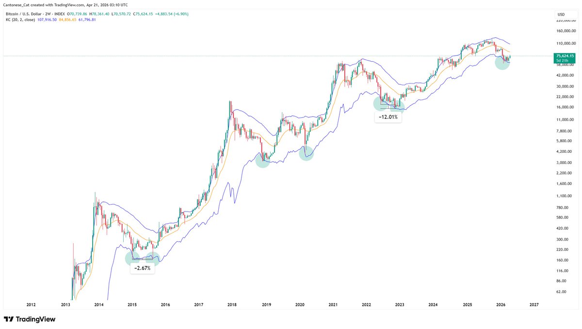 Cantonese Cat 🐱🐈 tweet media