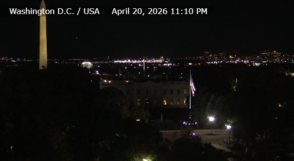 Q ™️ tweet media