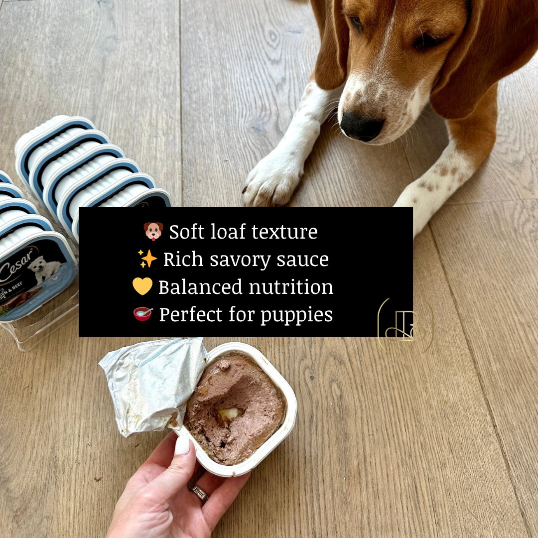 BubblyMoments's tweet image. Happy pup, happy meals 🐶✨
Puppy loaf in sauce — soft &amp;amp; nutritious 💛

🛒 Shop Here: amzn.to/3Qp4Idw

#PuppyFood #PetCare