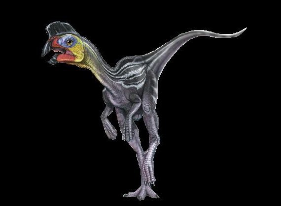 Phrog ☆ Jesus Fangirl tweet media