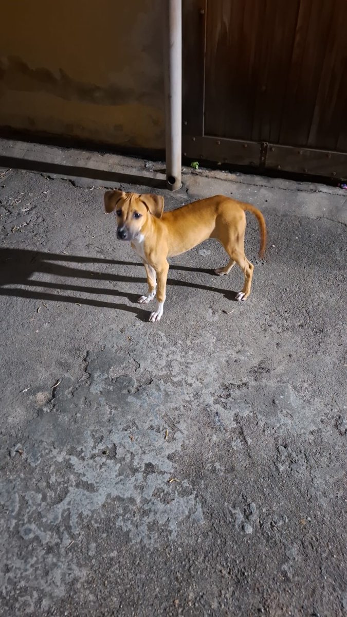 💜tete ⁷ BTS arirangou 💜🏠🐳💜 tweet media