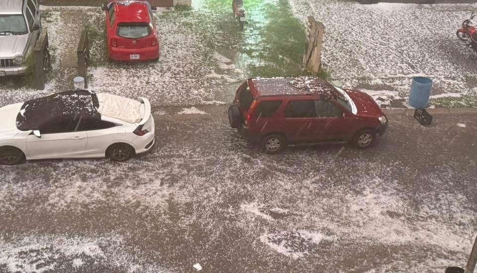 arandatamayo_'s tweet image. #Local Lluvias y granizo en NL: Saldo blanco tras jornada de percances

Protección Civil de Nuevo León reportó saldo blanco este lunes 20 de abril tras las intensas lluvias y granizadas registradas entre las 18:00 y 20:00 horas.

El recuento de daños al 9-1-1 incluye:

• 10
