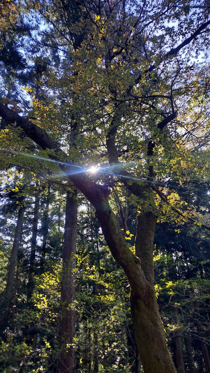 -ひでたけ- hidetake minami ☺️🍀 tweet media