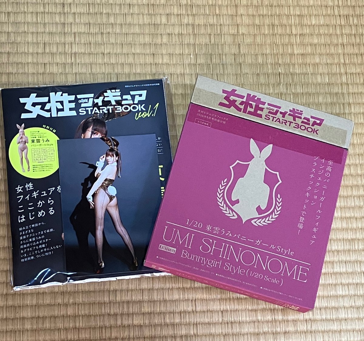 届いてた、今年中にどっかのタイミングで塗りたいな😆　

#モデルグラフィックス #東雲うみ