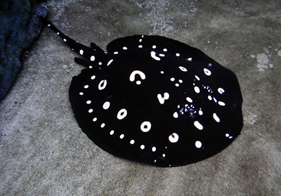 歯茎とれた tweet media