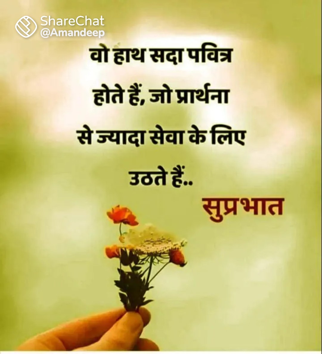 ReshamSing54871's tweet photo. #goodmorning https://t.co/M1r8PRndiN