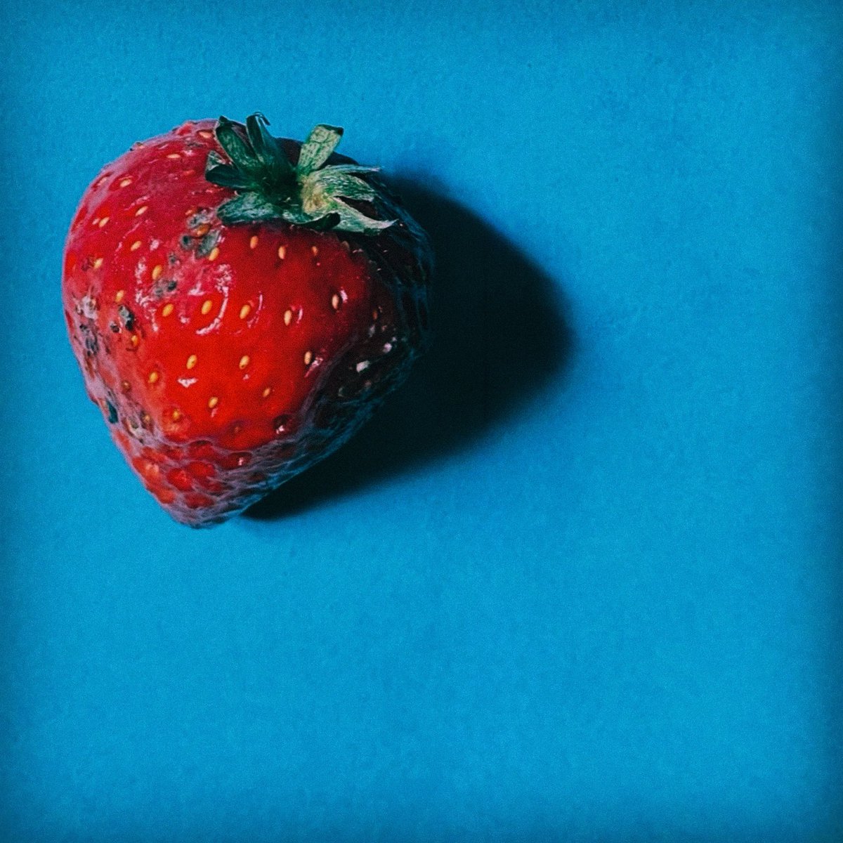 昨日から復帰して今日すぐに指定休♡
声が返ってこない╰(*´︶`*)╯♡

なんか、気づいたら、いちご🍓撮ってた、、

＃いちご