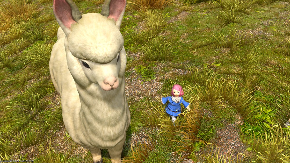 りっか tweet media