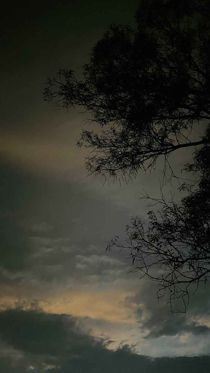 Cada quien sus obsesiones.