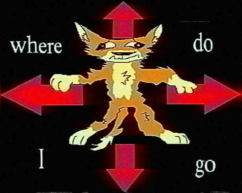 sploingyrecords tweet media