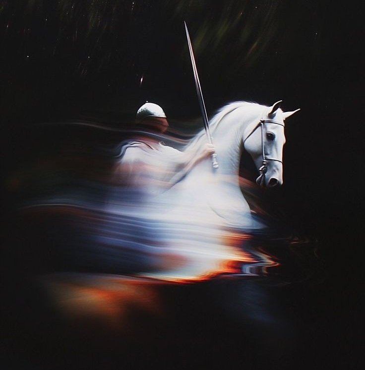 الشاعر 🦅 tweet media