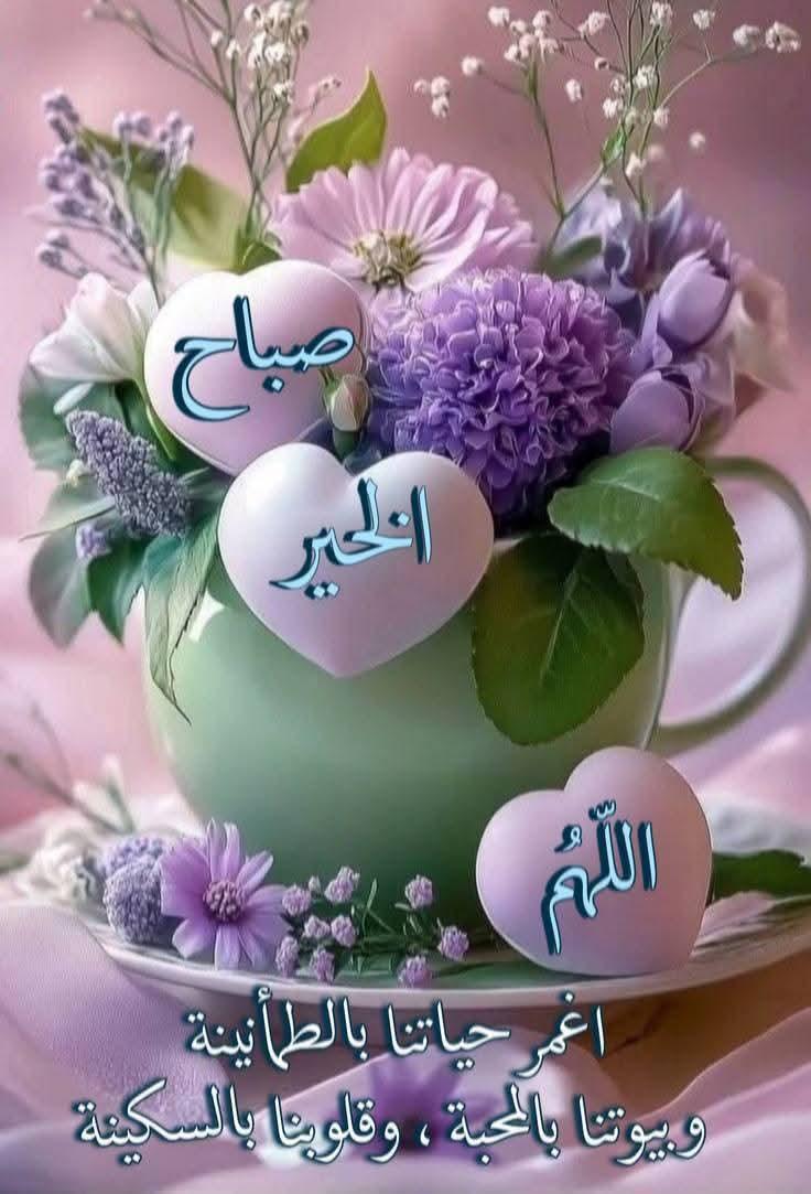زهرة البنفسج [عواطف السعدية] tweet media