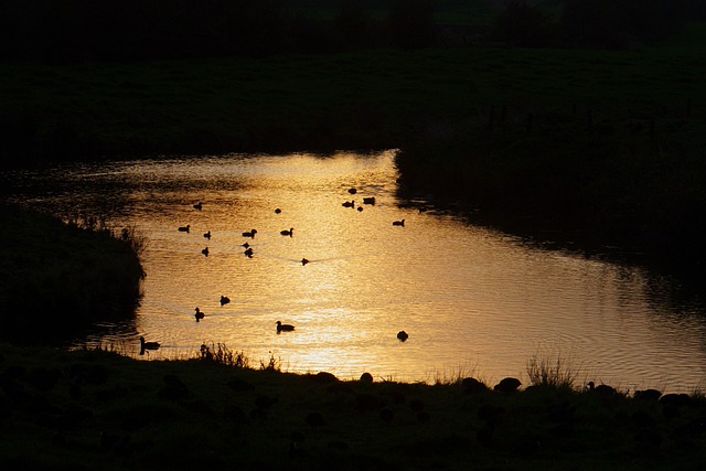 Cecelia Carroll tweet media