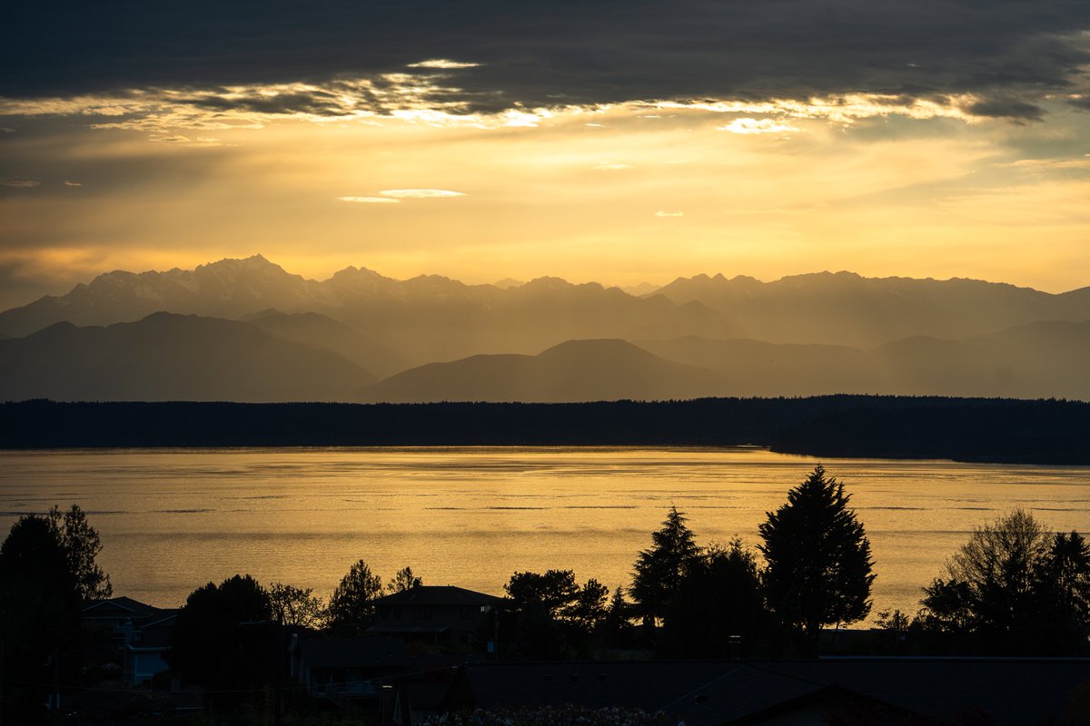 tolf 🔜 fwa tweet media