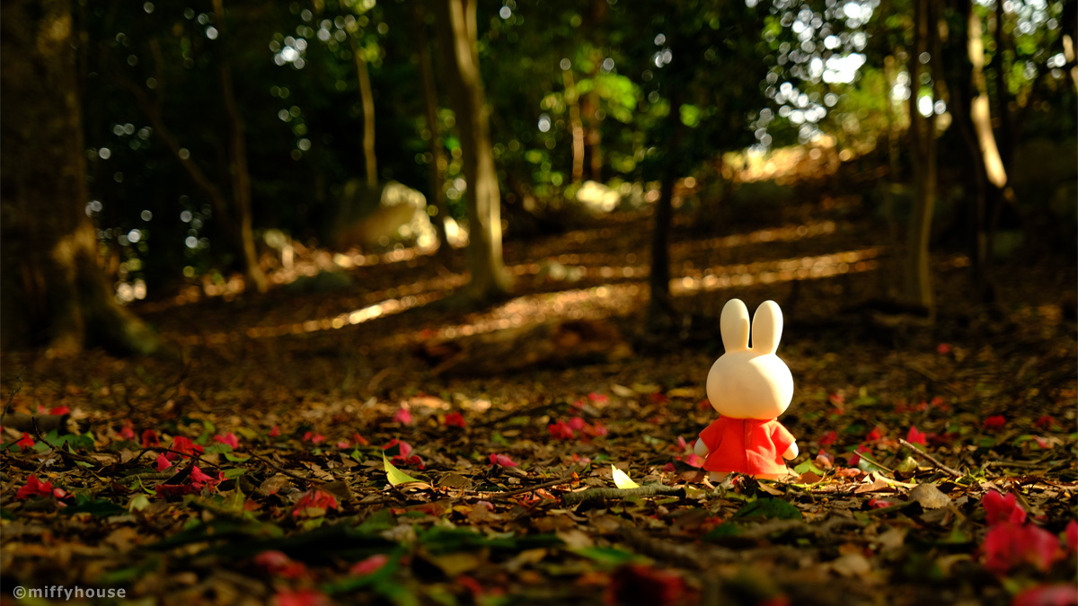 miffyhouse-ミッフィー専門店 tweet media