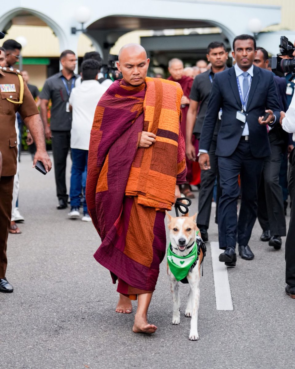 Dilshandanan's tweet image. Welcome to Sri Lanka 🇱🇰

#CameraLK #SonyAlpha