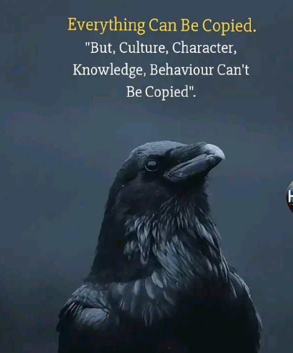 Turbo_clips's tweet image. 