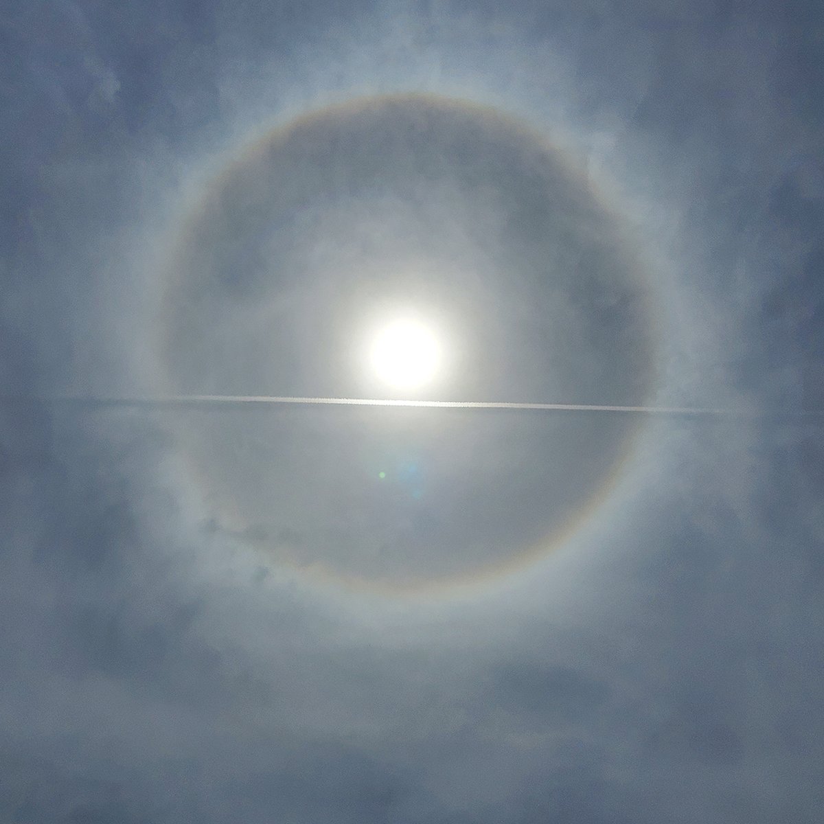 火曜の昼下がり。
空の大きな虹の環・暈(ハロ)の中を、飛行機が通り過ぎて行きました。