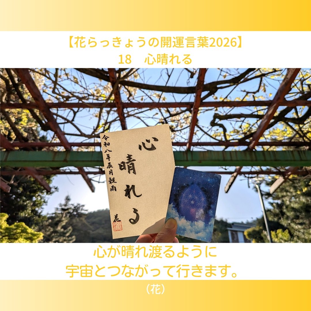 かきざきじむ所（かきざき商店） tweet media