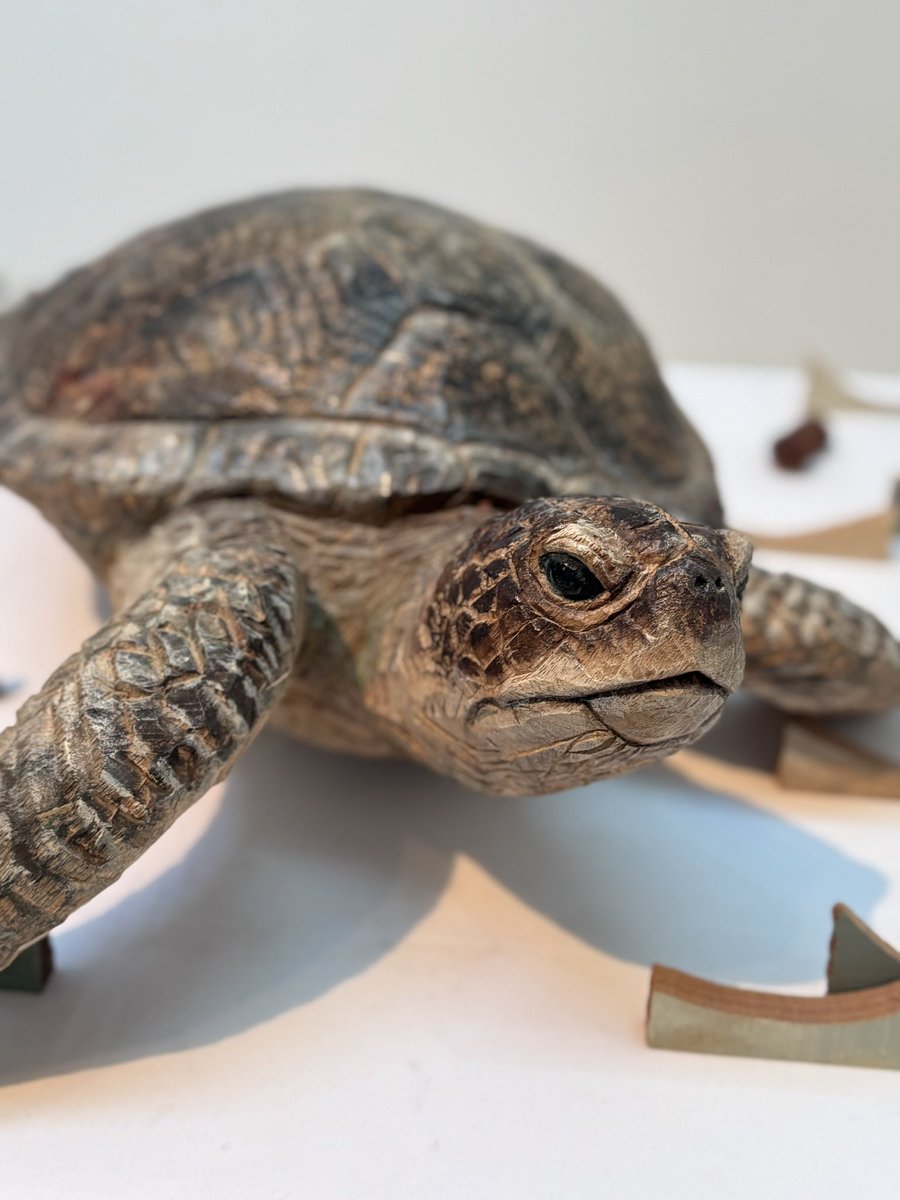 はしもとみお tweet media