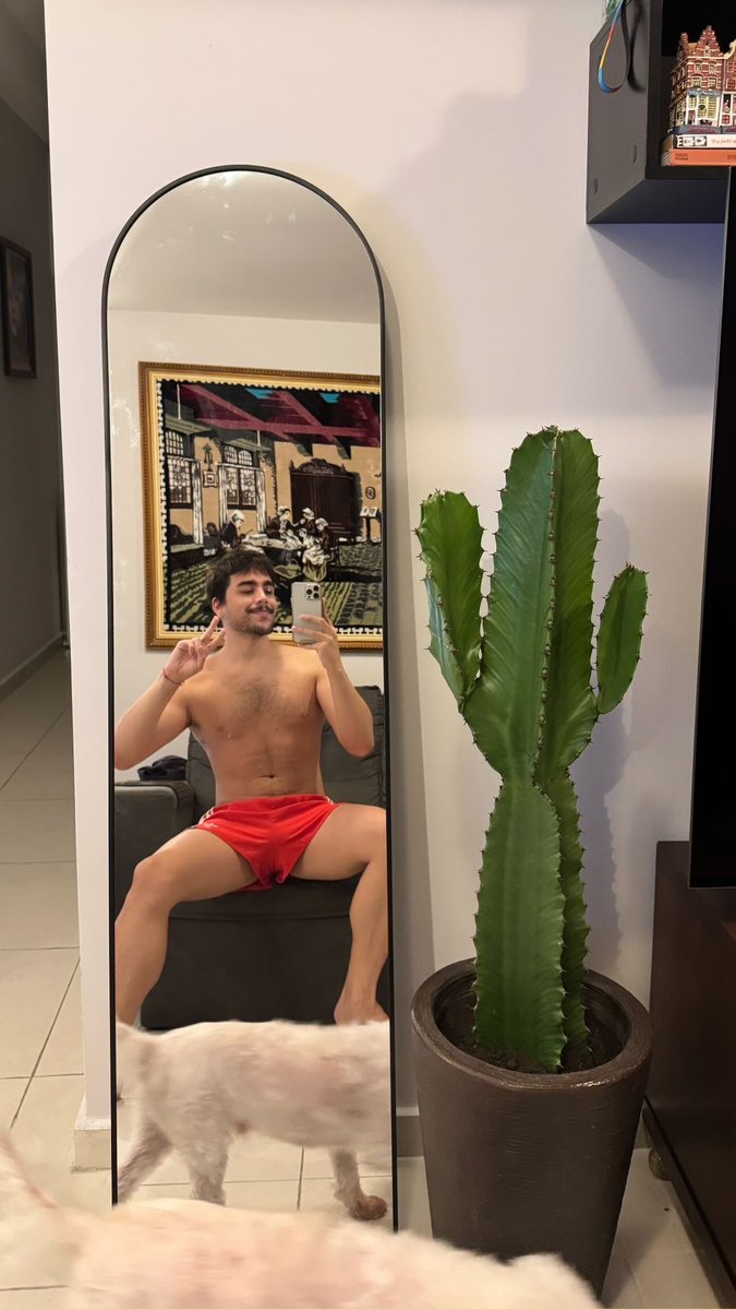 Diego Toledo (@diegotoledox) on Twitter photo 