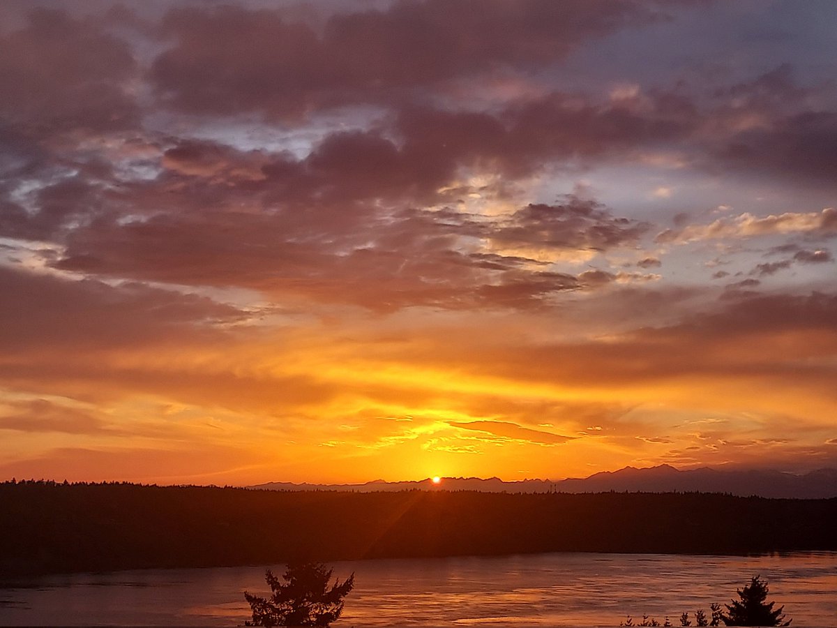 David Nyro tweet media