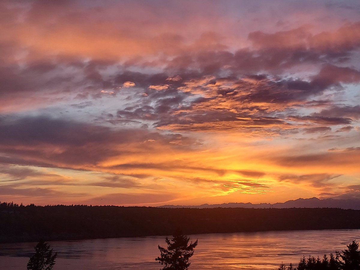 David Nyro tweet media