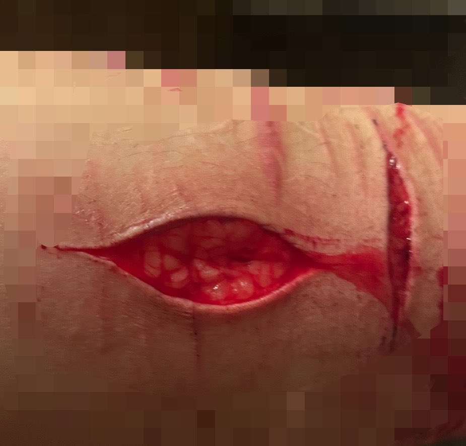 𝘊𝘩𝘦𝘴 𝘰𝘧 𝘚𝘏𝘌𝘋𝘛𝘞𝘛 ♡ tweet media