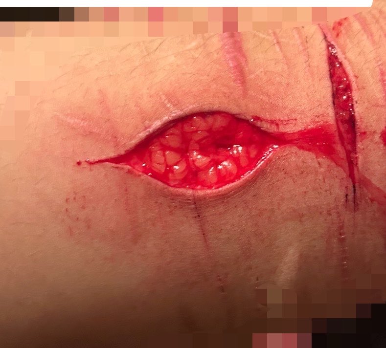 𝘊𝘩𝘦𝘴 𝘰𝘧 𝘚𝘏𝘌𝘋𝘛𝘞𝘛 ♡ tweet media